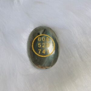 Pyrite Zibu Coin - Image 1