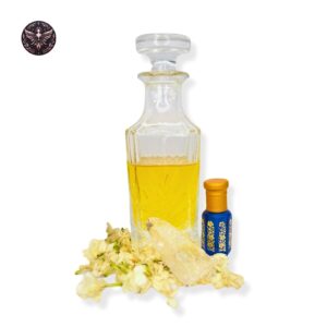 French Jasmine - Image 3