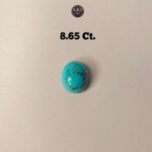 Turquoise Stone - Firoza (8.65 Ct.) - Image 1